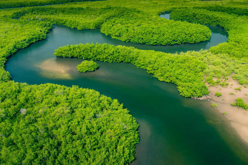 Você está visualizando atualmente Pesquisa mede emissão de óxido nitroso na Amazônia e Pantanal