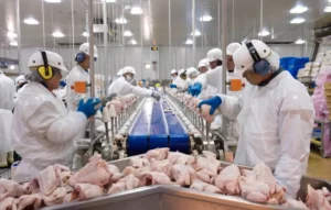 Leia mais sobre o artigo Rússia renova cota para importação de carne bovina e de aves