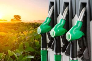 Leia mais sobre o artigo Brasil domina a expansão global de biocombustíveis, diz AIE