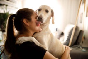 Leia mais sobre o artigo Por que cachorros lambem os seus donos? Veterinária explica