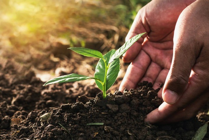 Você está visualizando atualmente Câmara Temática de Agrocarbono Sustentável começa em março