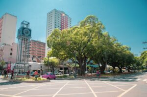 Leia mais sobre o artigo Campo Grande celebra uma Tree City of the World