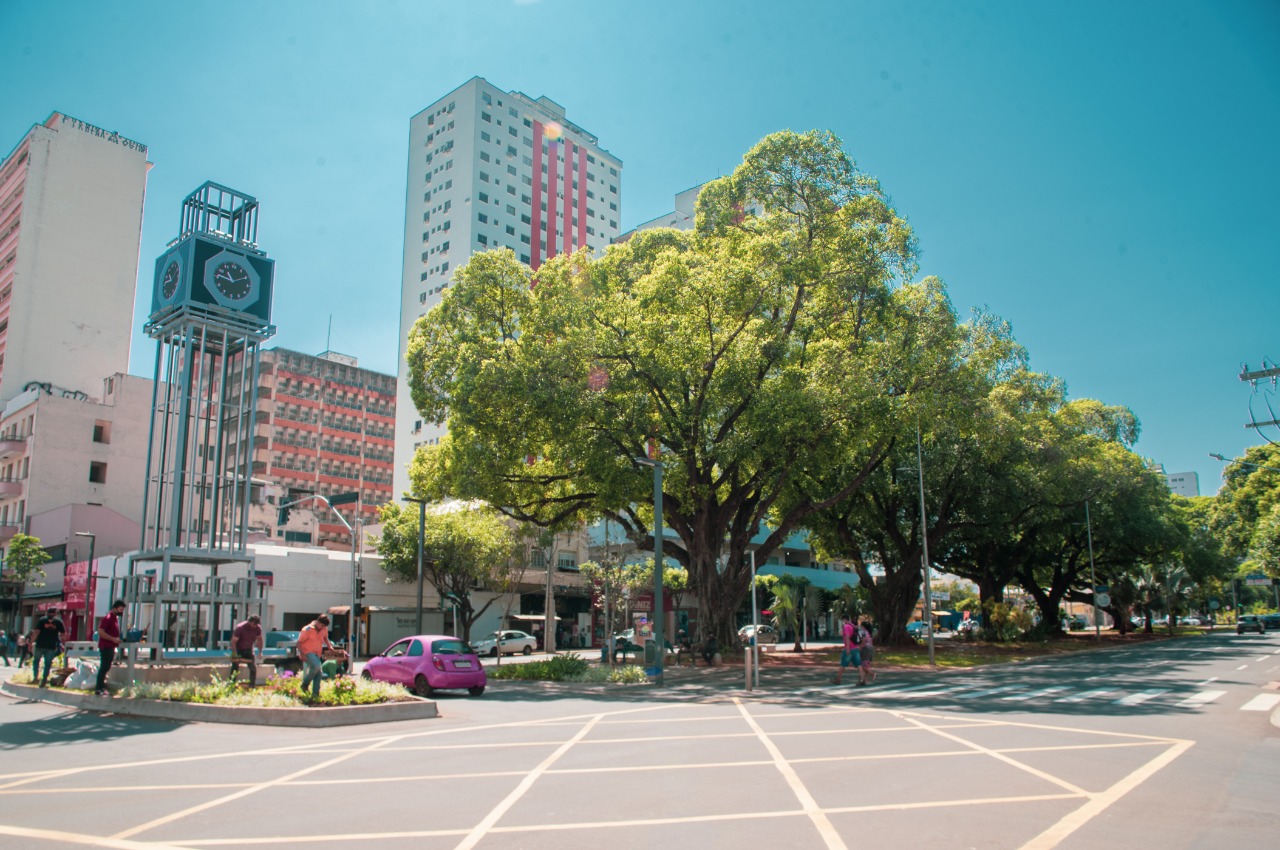 Você está visualizando atualmente Campo Grande celebra uma Tree City of the World