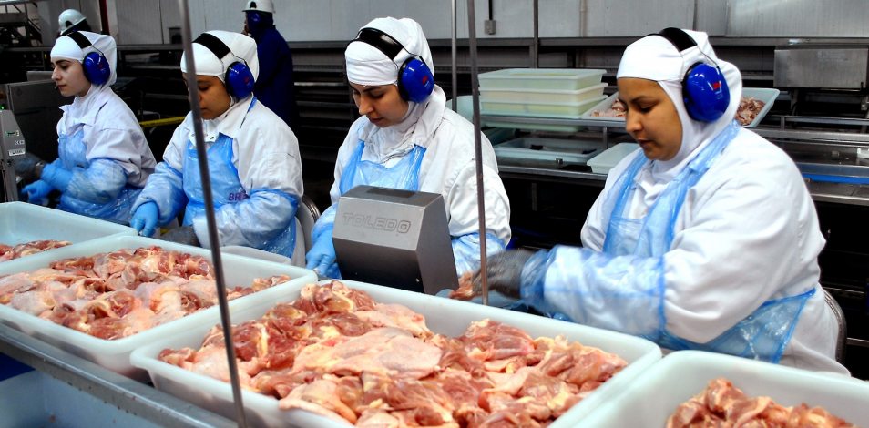 Você está visualizando atualmente Com presidente no Egito, carne brasileira conquista rápida exportação