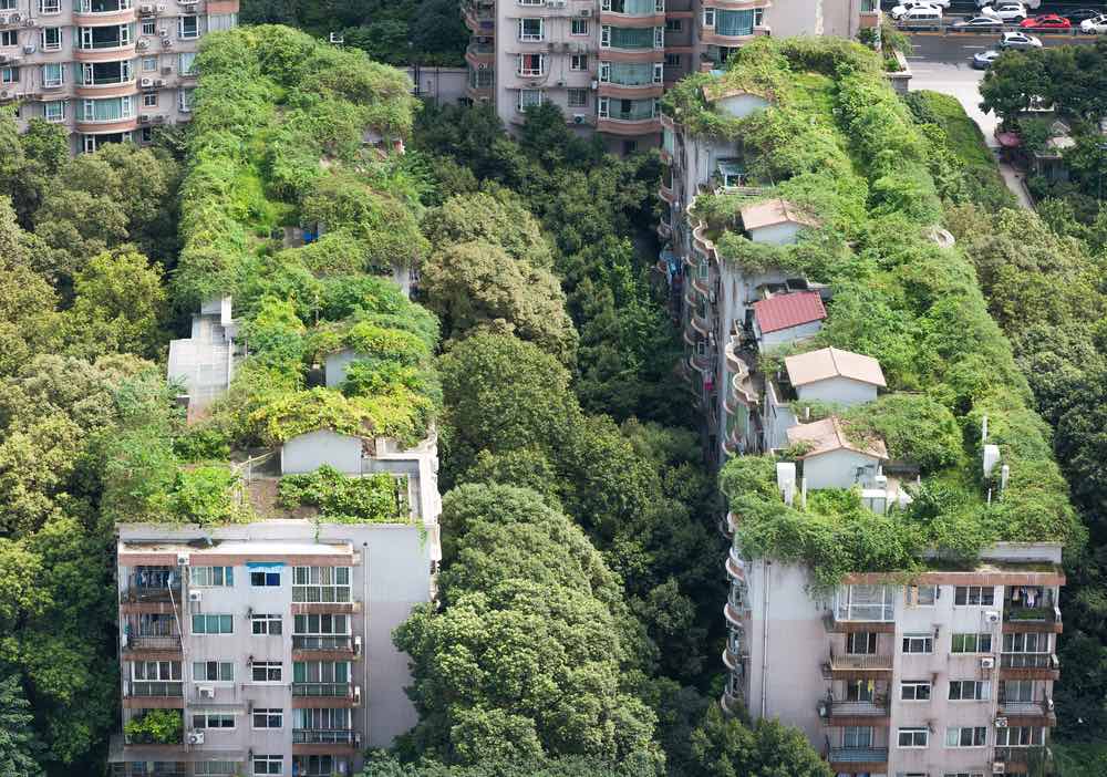 Você está visualizando atualmente COREIA: “Telhados verdes” ajudam a economizar energia