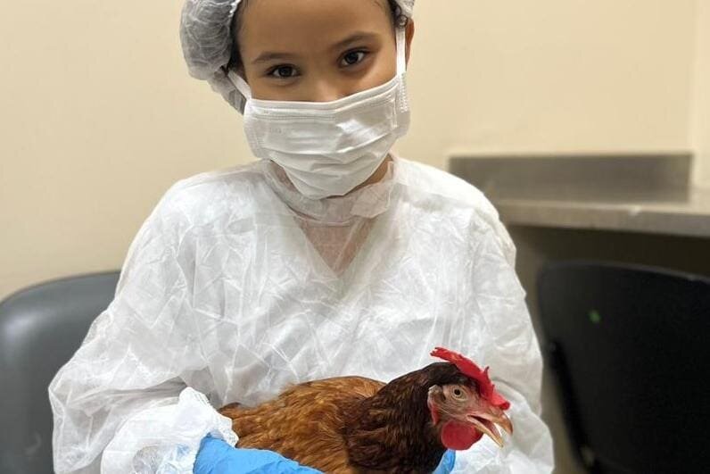 Você está visualizando atualmente Menina recebe visita de sua galinha de estimação em hospital