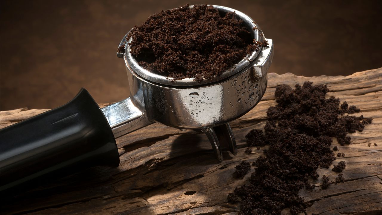 borra-do-cafe-pode-ser-usada-na-agricultura