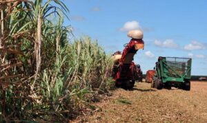 Leia mais sobre o artigo 10 BILHÕES: BNDES lança linha de crédito em apoio aos produtores do agro
