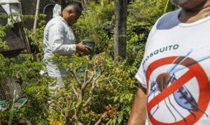 Leia mais sobre o artigo Brasil concentra quase 70% dos casos de dengue da AL e Caribe
