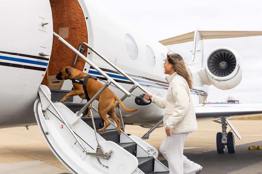 Você está visualizando atualmente Companhia aérea de luxo para cães faz seu primeiro voo