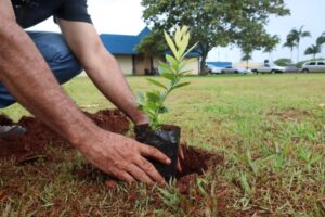 Leia mais sobre o artigo Dourados realiza XXI Semana do Meio Ambiente em junho