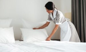 Leia mais sobre o artigo Governo lança cursos de capacitação para empregadas domésticas