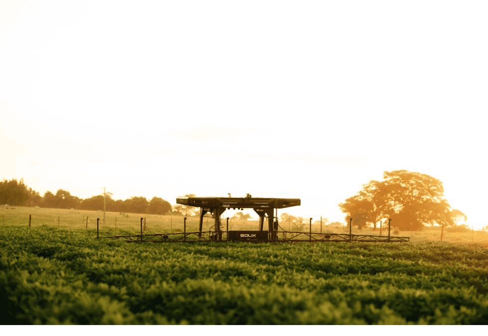 Você está visualizando atualmente Robôs com IA farão o controle de ervas daninhas em fazenda