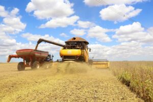 Leia mais sobre o artigo Agricultura negocia cerca de R$ 500 bilhões para o Plano Safra