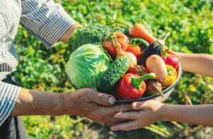 Leia mais sobre o artigo MDA quer R$ 80 bi para Plano Safra da Agricultura Familiar