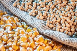 Leia mais sobre o artigo APROSOJA-MS: Soja e milho são responsáveis por 73% do valor bruto da produção