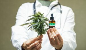 Leia mais sobre o artigo Uso de Cannabis para tratamento começa a passar na ALEMS