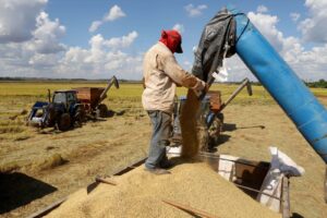Leia mais sobre o artigo Governo, indústria e produtor fazem acordo para monitorar preço do arroz