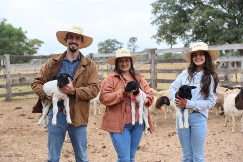 Você está visualizando atualmente SENAR-MS: Família transforma fazenda de bovinos em potência de ovinocultura