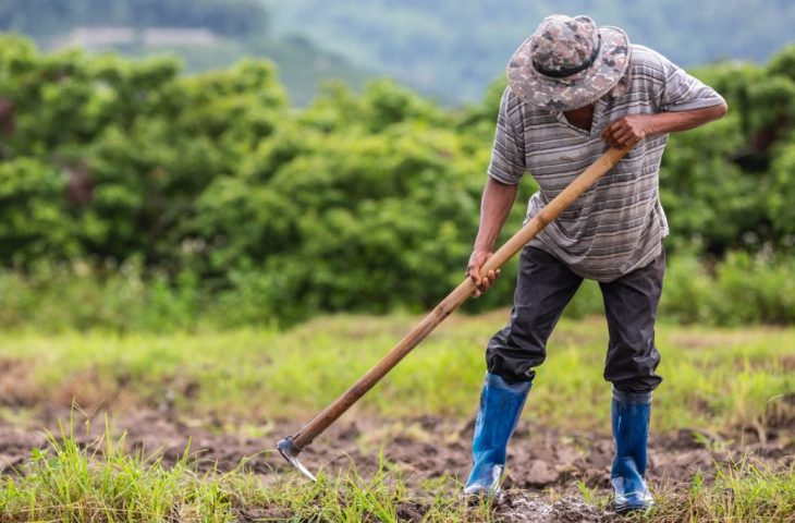 Você está visualizando atualmente Investimento na agricultura familiar sobe 130% extensão Fundect