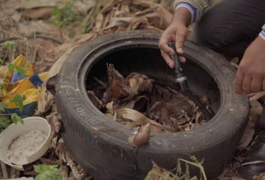 Você está visualizando atualmente Naviraí registra 15.101 casos confirmados de dengue e 28 mortes