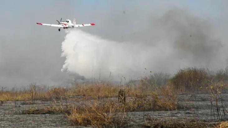 Você está visualizando atualmente PANTANAL: Ibama pede alteração em lei de aviação para combate a incêndios