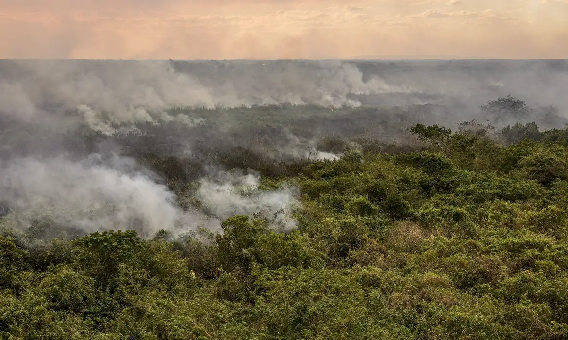 Você está visualizando atualmente Pantanal poderá ter crise hídrica histórica em 2024, aponta estudo