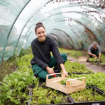 Política Nacional de Agricultura Urbana agora é lei