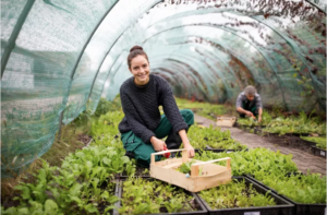 Leia mais sobre o artigo Política Nacional de Agricultura Urbana agora é lei