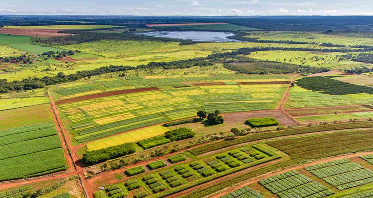 Você está visualizando atualmente A evolução das cadeias de valor no agronegócio