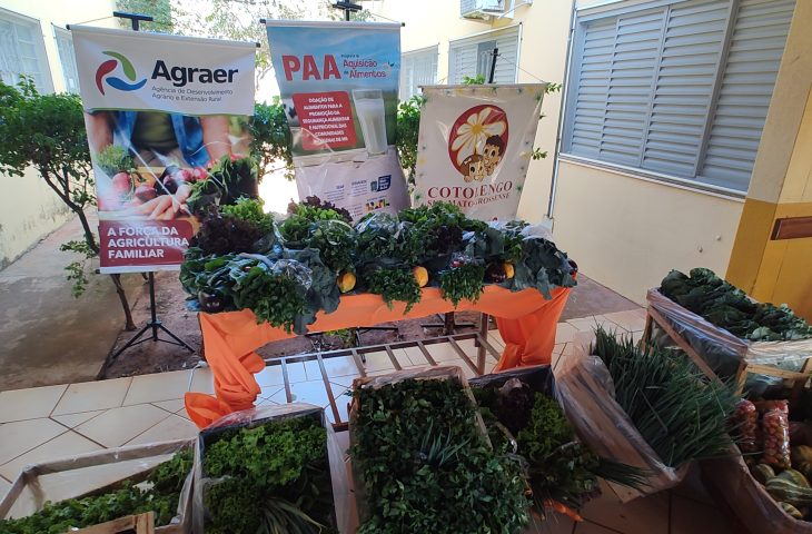 Você está visualizando atualmente Agricultores familiares iniciam entregas de alimentos em Campo Grande