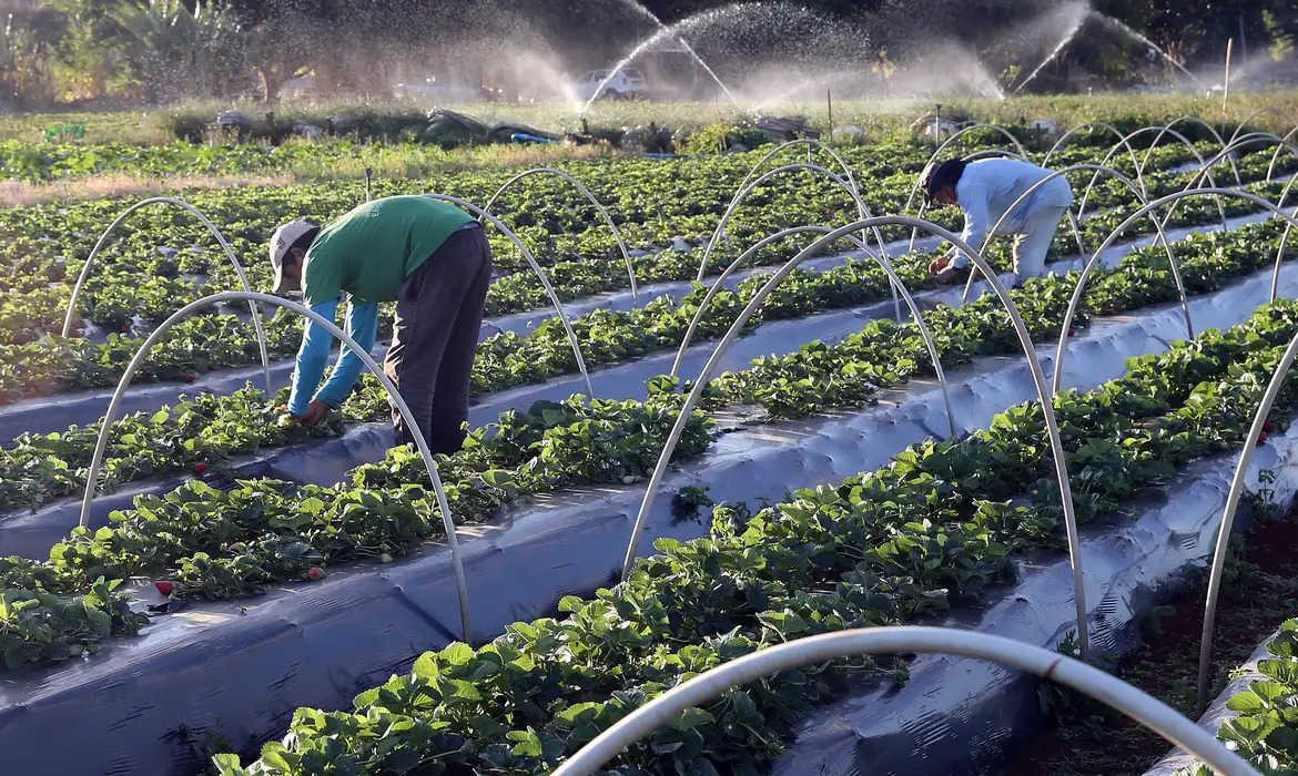 Você está visualizando atualmente Câmara aprova mais recursos para garantir crédito à agricultura familiar