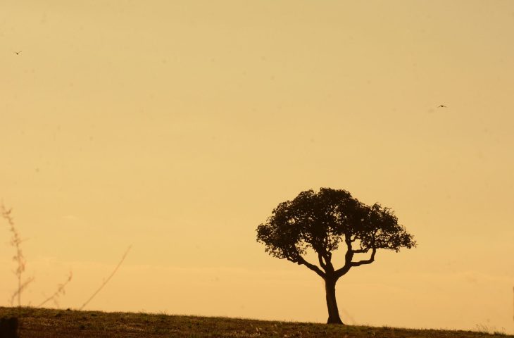 Você está visualizando atualmente Chuvas abaixo da média e altas temperaturas permanecem em MS