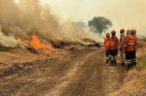 Leia mais sobre o artigo Corumbá registra 70% da área devastada pelo fogo no Pantanal