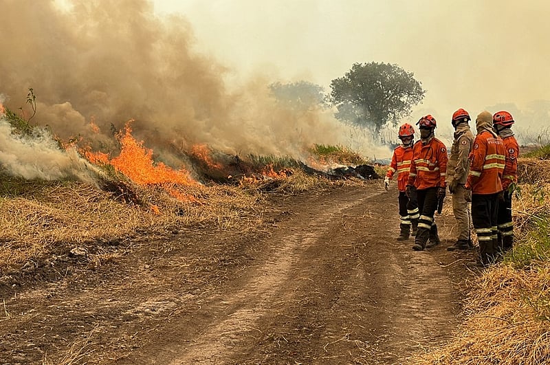 Você está visualizando atualmente Corumbá registra 70% da área devastada pelo fogo no Pantanal