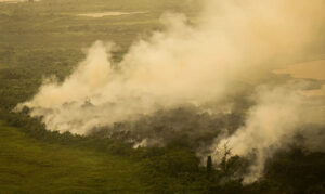 Leia mais sobre o artigo Incêndios no Pantanal já destruíram 2 milhões de hectares, área equivalente ao estado de Sergipe