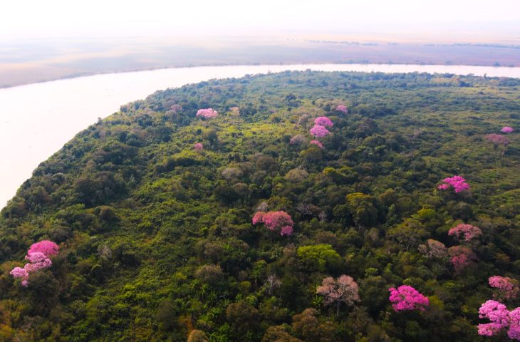 Você está visualizando atualmente Plano Clima Participativo em Campo Grande aborda o bioma Pantanal