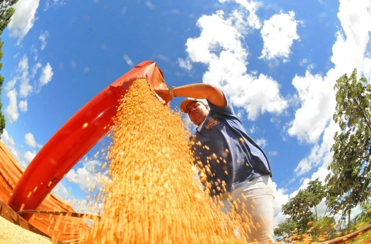 Você está visualizando atualmente Soja e milho representam 74% do valor bruto da produção agrícola em MS