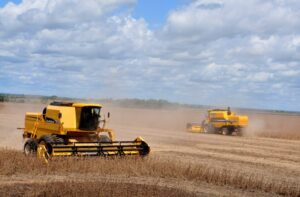 Leia mais sobre o artigo Valor Bruto da Produção agropecuária em MS soma R$ 60 bilhões