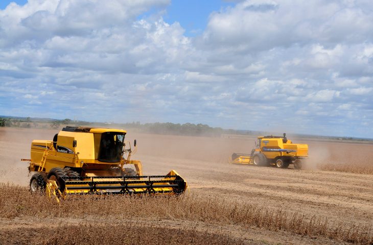 Você está visualizando atualmente Valor Bruto da Produção agropecuária em MS soma R$ 60 bilhões