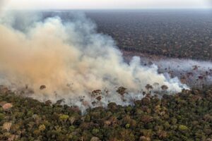 Leia mais sobre o artigo Bancada do agro quer participar da escolha da autoridade climática