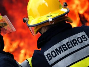 Leia mais sobre o artigo Brasil envia equipe de bombeiros para combater incêndios na Bolívia