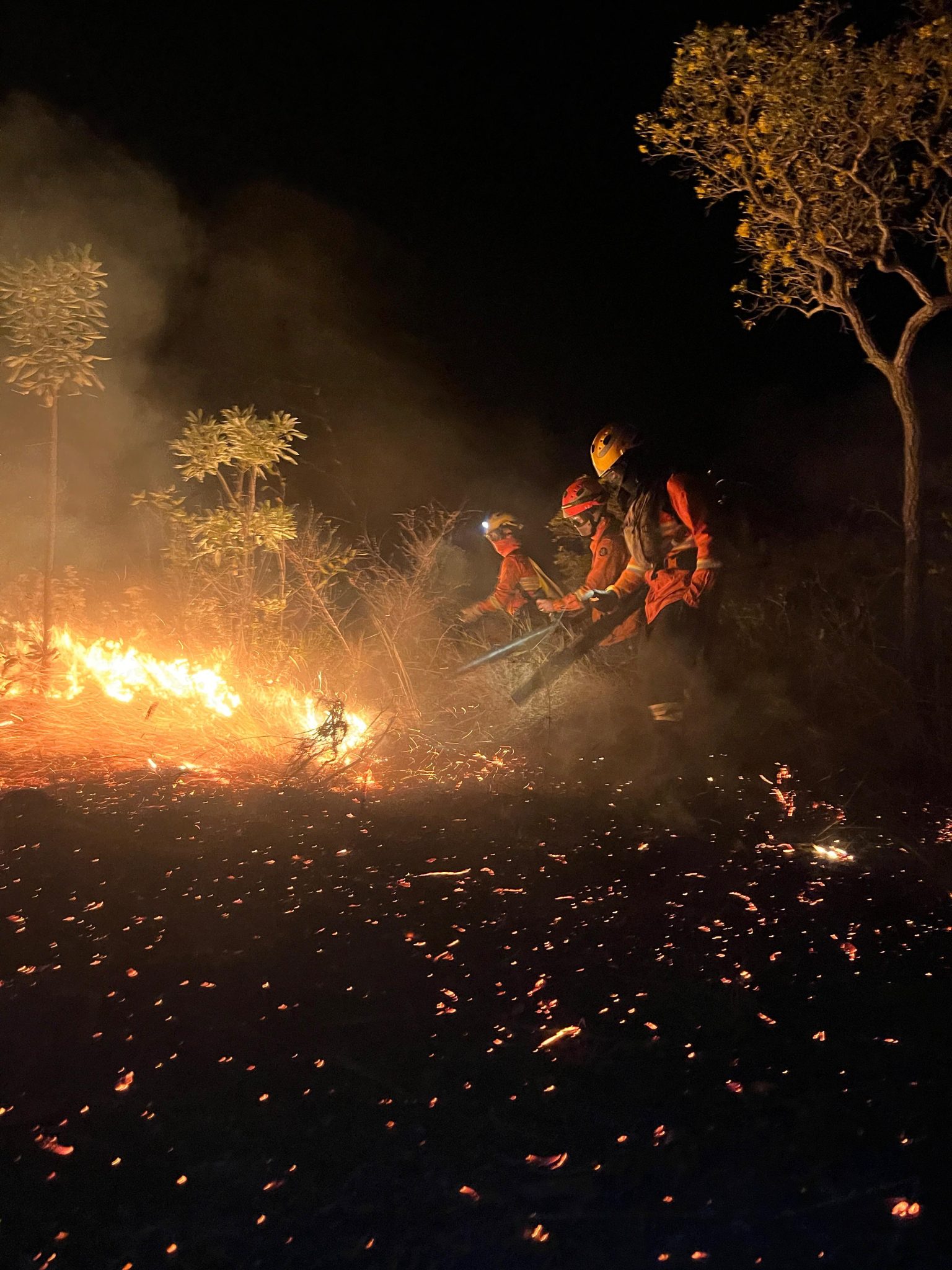 Você está visualizando atualmente BOMBEIROS DE MS: Incêndios florestais o trabalho diário no combate e monitoramento