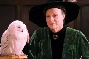 Leia mais sobre o artigo Maggie Smith, atriz de Harry Potter e Downton Abbey, morre aos 89 anos