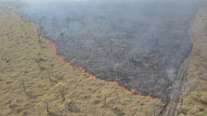 Leia mais sobre o artigo CNA: Queimadas causam prejuízo de mais de R$ 14 bilhões ao agronegócio