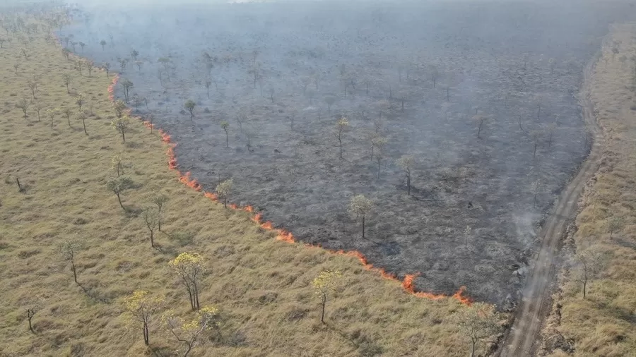 Você está visualizando atualmente CNA: Queimadas causam prejuízo de mais de R$ 14 bilhões ao agronegócio