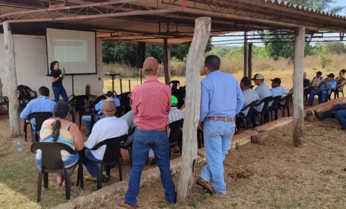 Você está visualizando atualmente Sebrae-MS e Suzano atendem produtores de Selvíria em projeto