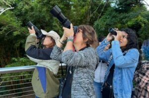 Leia mais sobre o artigo Bioparque Pantanal será ponto de encontro para amantes de aves