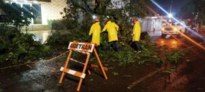 Leia mais sobre o artigo Campo Grande mobiliza equipes após tempestade com ventos 85 km/h