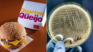 Leia mais sobre o artigo O que é a E. coli O157, bactéria ligada ao lanche do McDonald’s